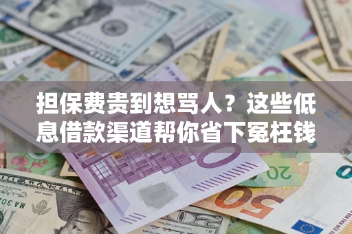 济南担保费贵到想骂人？这些低息借款渠道帮你省下冤枉钱