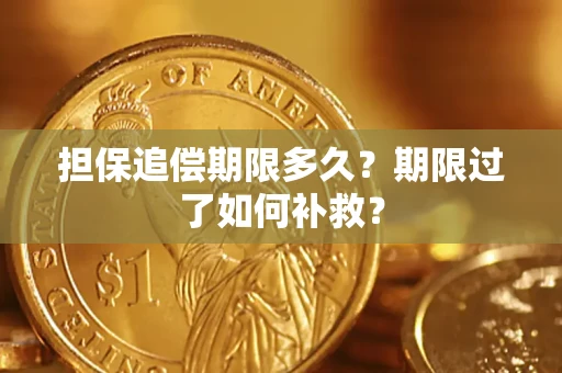 济南担保追偿期限多久？期限过了如何补救？