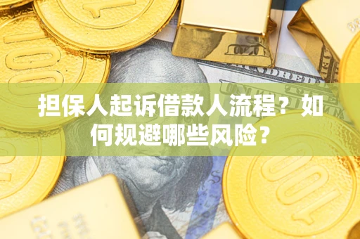 济南担保人起诉借款人流程？如何规避哪些风险？