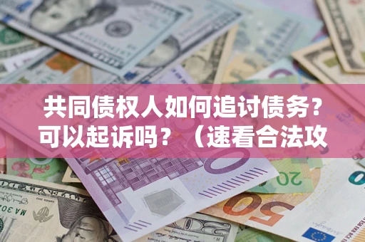 济南共同债权人如何追讨债务？可以起诉吗？（速看合法攻略）